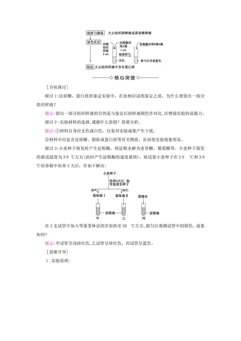 高中生物组成细胞的分子第1节细胞中的元素和化合物学案新人教版必修1_第5页