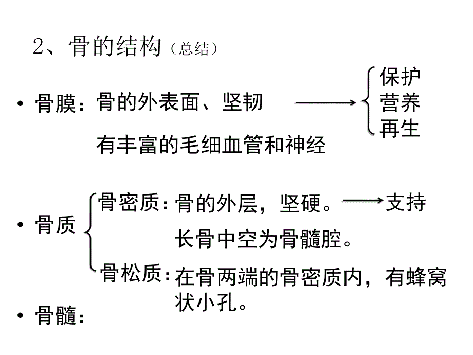 第一节动物的运动第三课时9月14日_第4页