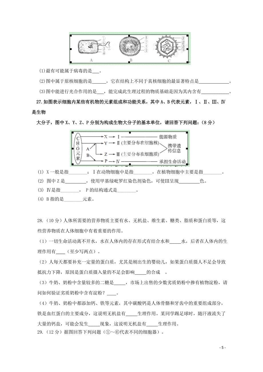 四川省宜宾县第一中学校高一生物12月月考试题01281_第5页