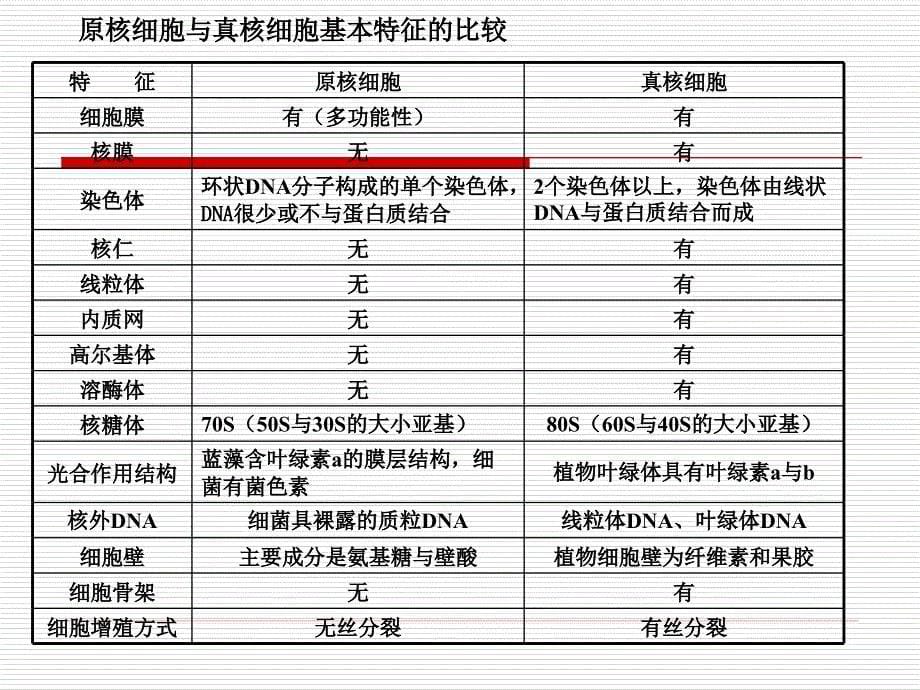 细胞生物学复习课件_第5页