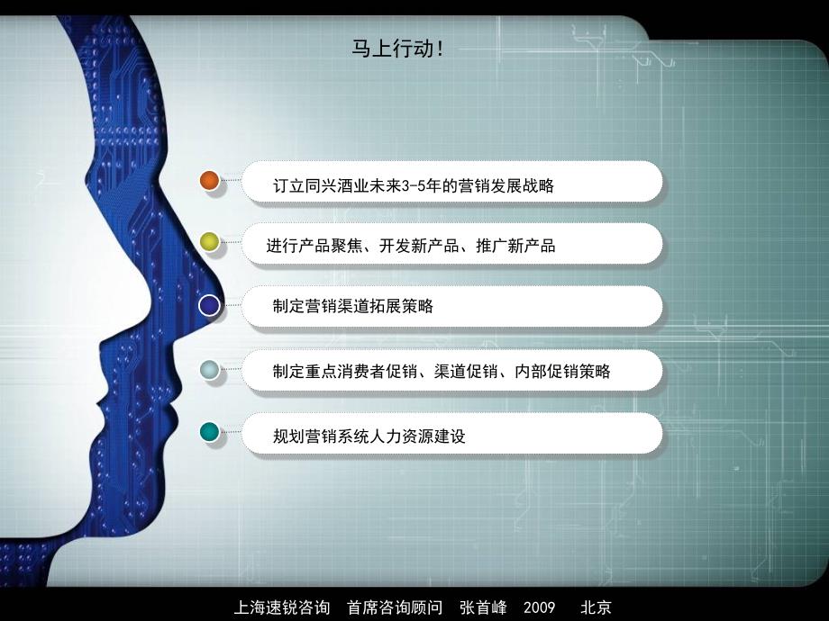 【山东同兴酒业有限公司】真卿酒营销咨询项目建议书_第3页