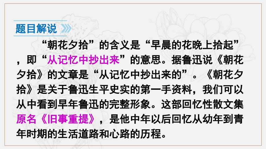 七年级语文上册第三单元名著导读习题课件新人教版_第4页