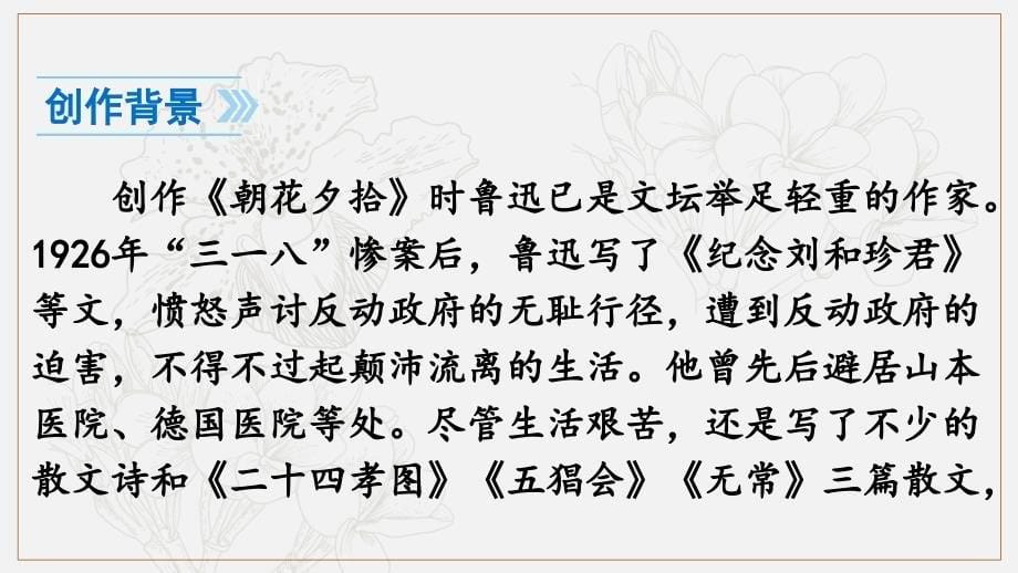 七年级语文上册第三单元名著导读习题课件新人教版_第5页