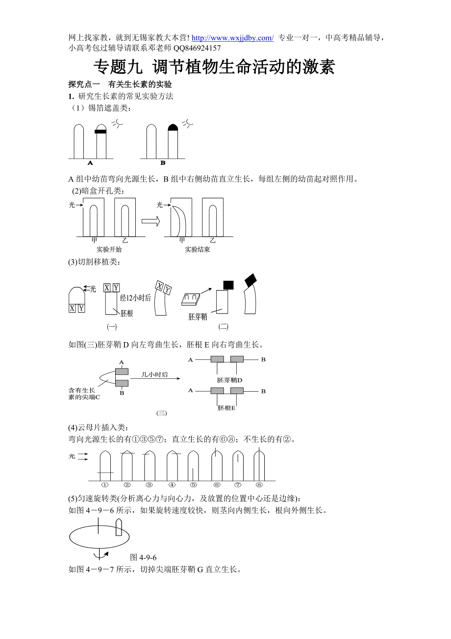 专题9__调节植物生命活动的激素.doc_第1页