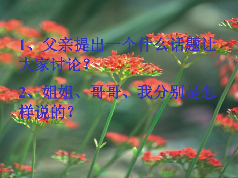 落花生2 (2)_第4页