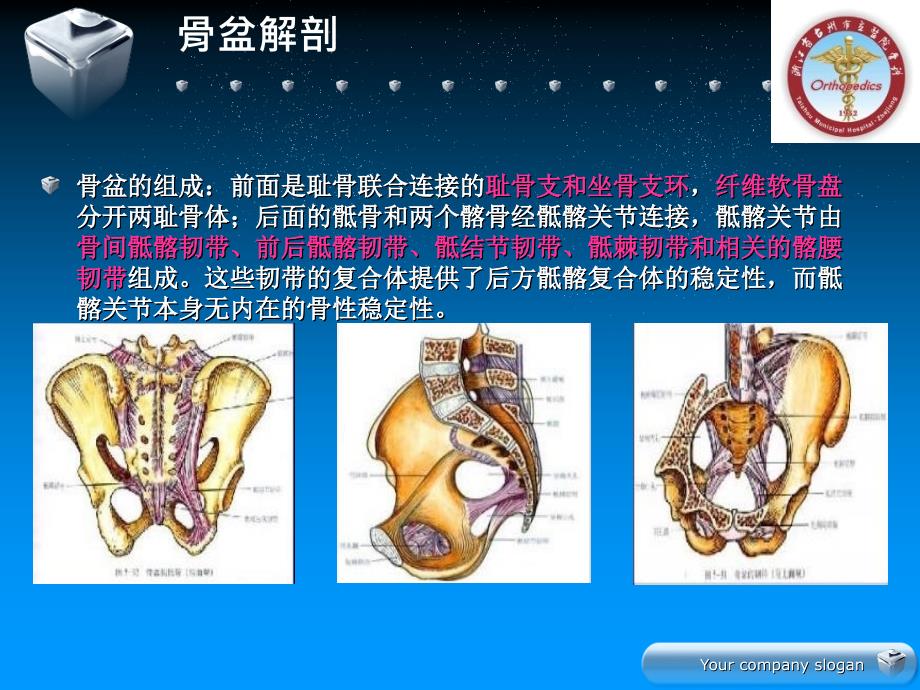 骨盆骨折的分型及治疗_第3页