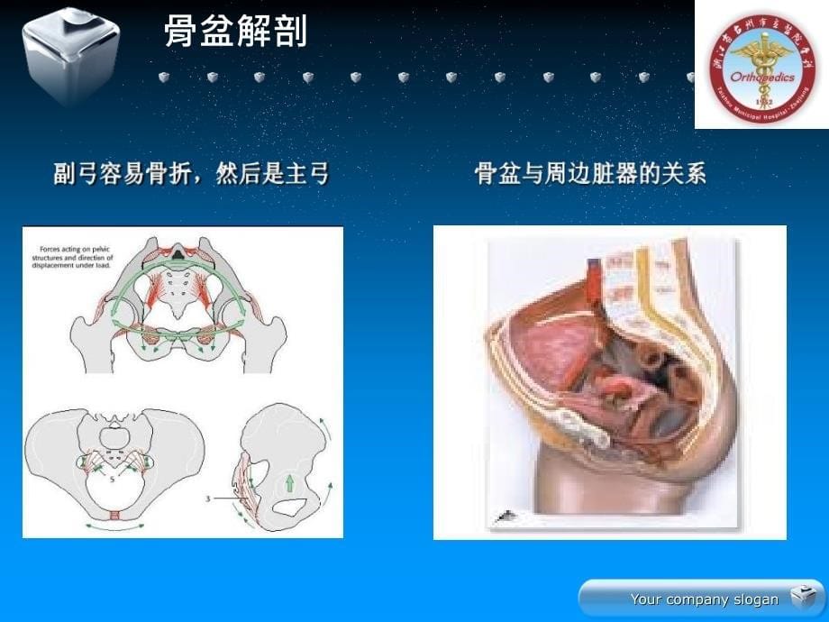 骨盆骨折的分型及治疗_第5页