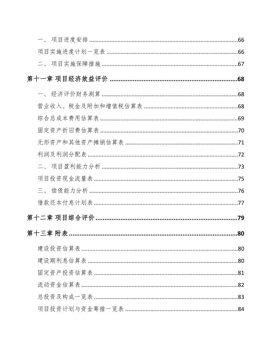 甘肃经编织布项目可行性研究报告(DOC 62页)_第5页