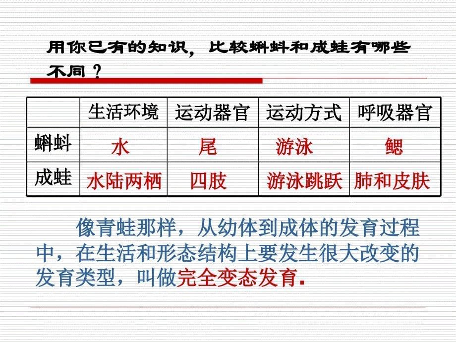 人与动物的生殖和发育_第5页