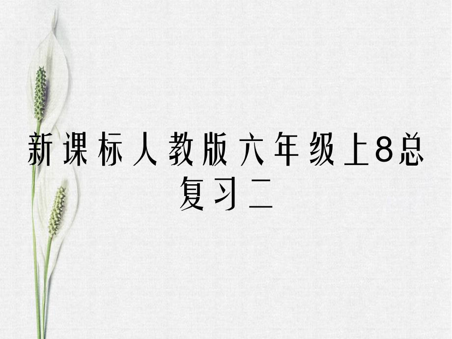 新课标人教版六年级上8总复习二_第1页