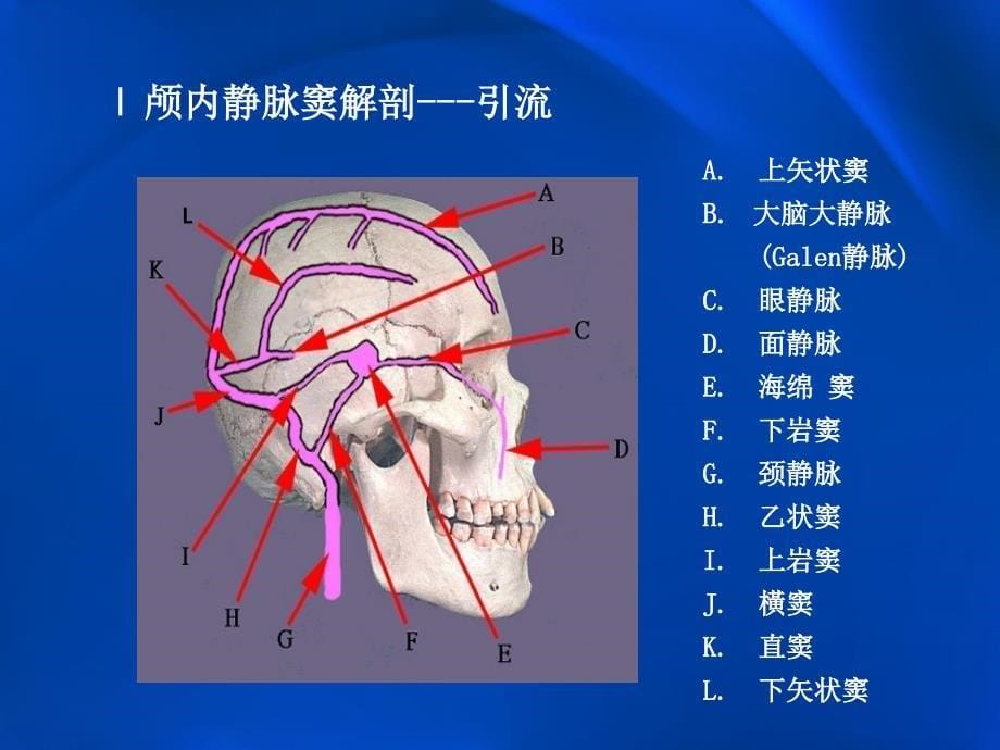 颅内静脉窦血栓形成的影像学表现_第5页