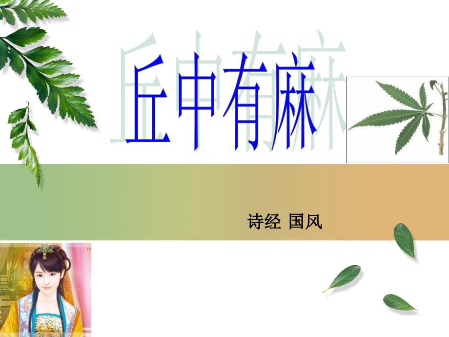 丘中有麻王风国风诗经注释译文赏析课件_第1页