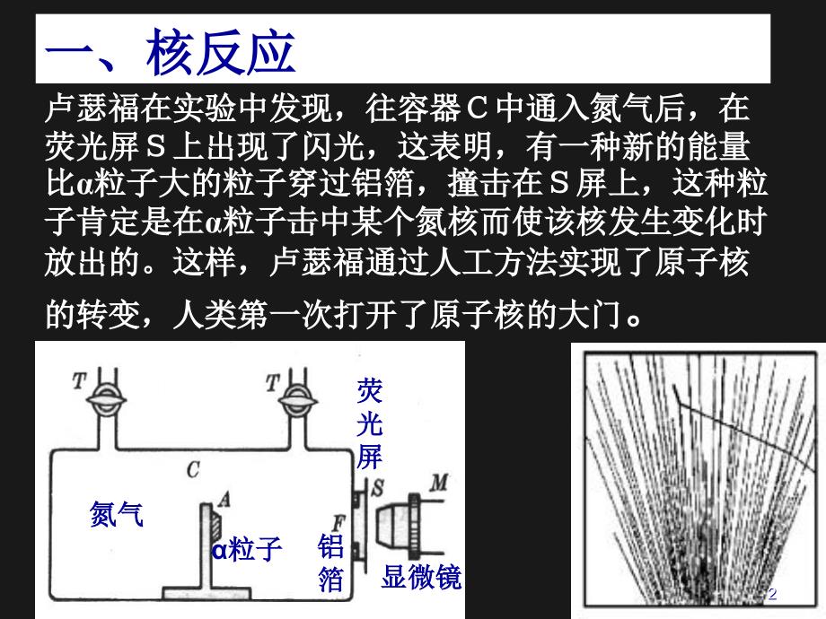 放射性的应用与防护ppt课件_第2页