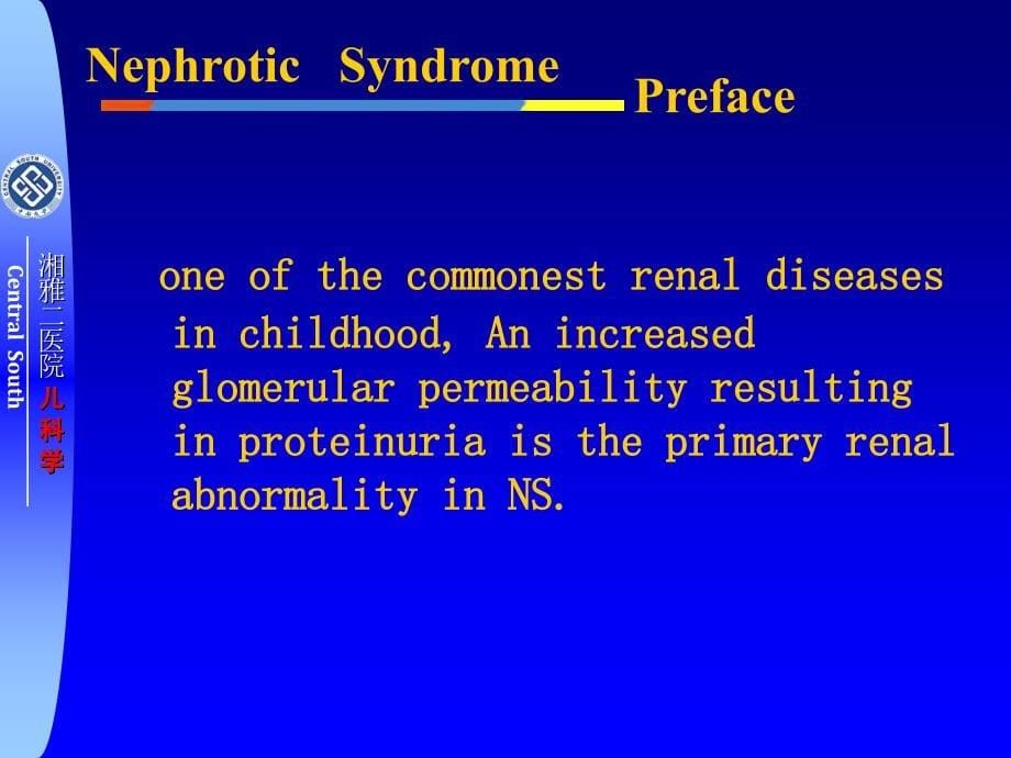 版肾病综合征ppt课件_第5页