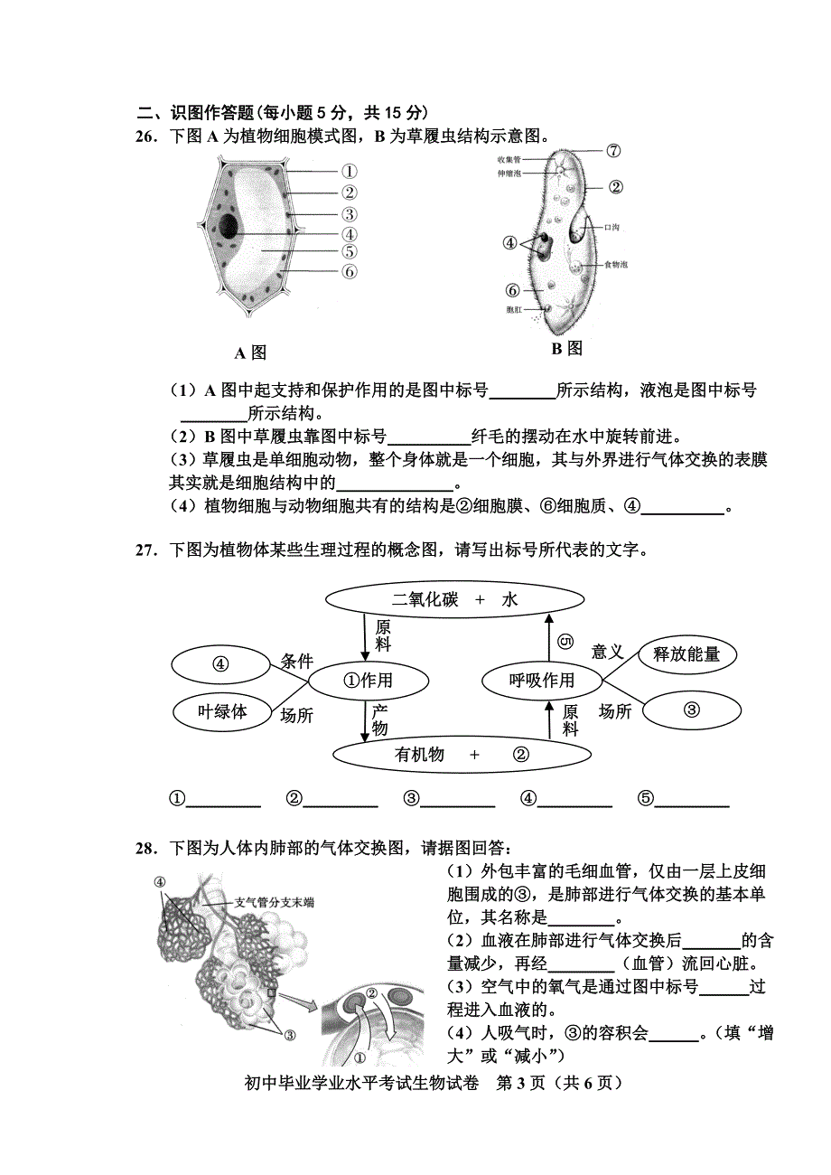 中考试卷生物A卷（2011）.doc_第3页