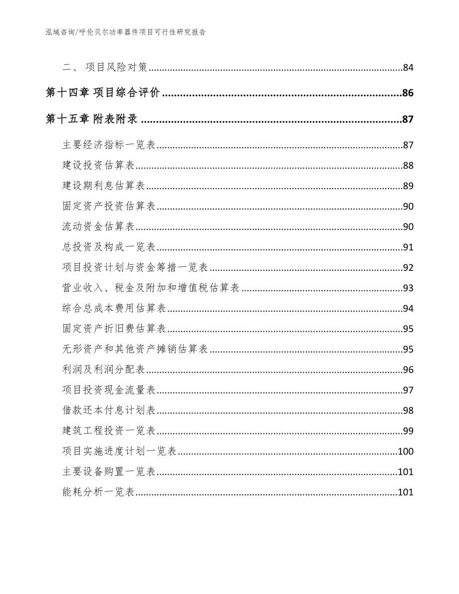 呼伦贝尔功率器件项目可行性研究报告（模板）_第5页