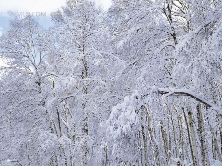 下雪了(作文指导)课件_第4页