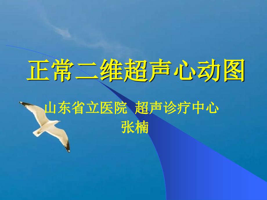 正常超声心动山东省立医院超声诊疗中心ppt课件_第1页