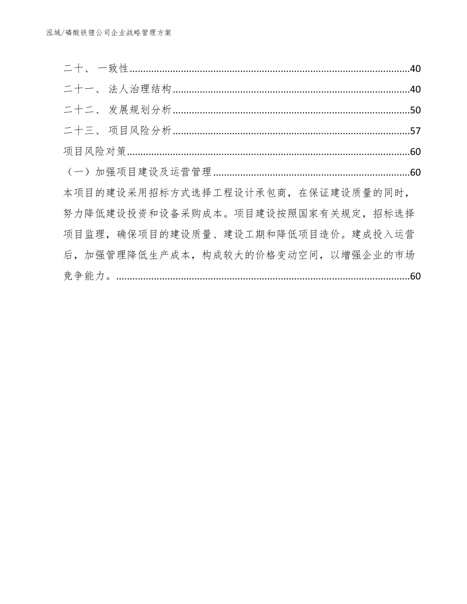 磷酸铁锂公司企业战略管理方案_第2页