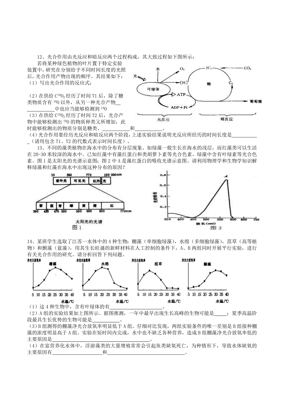 光合作用专项训练及答案_第2页