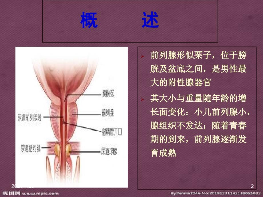 前列腺炎疾病介绍、前列腺炎症状、前列腺炎发病原因、解决办法的系统性讲座_第2页