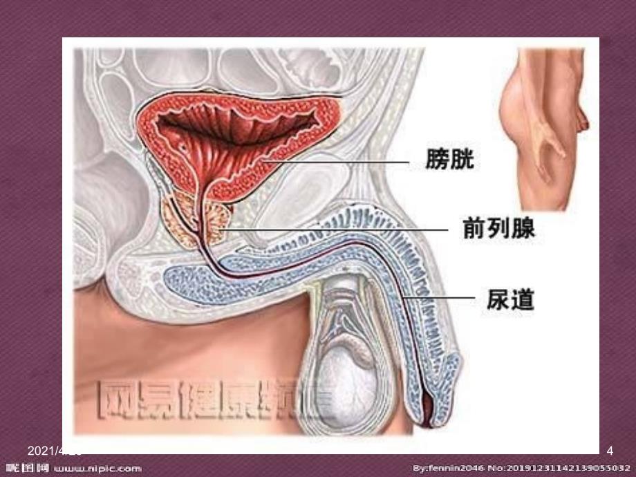 前列腺炎疾病介绍、前列腺炎症状、前列腺炎发病原因、解决办法的系统性讲座_第4页