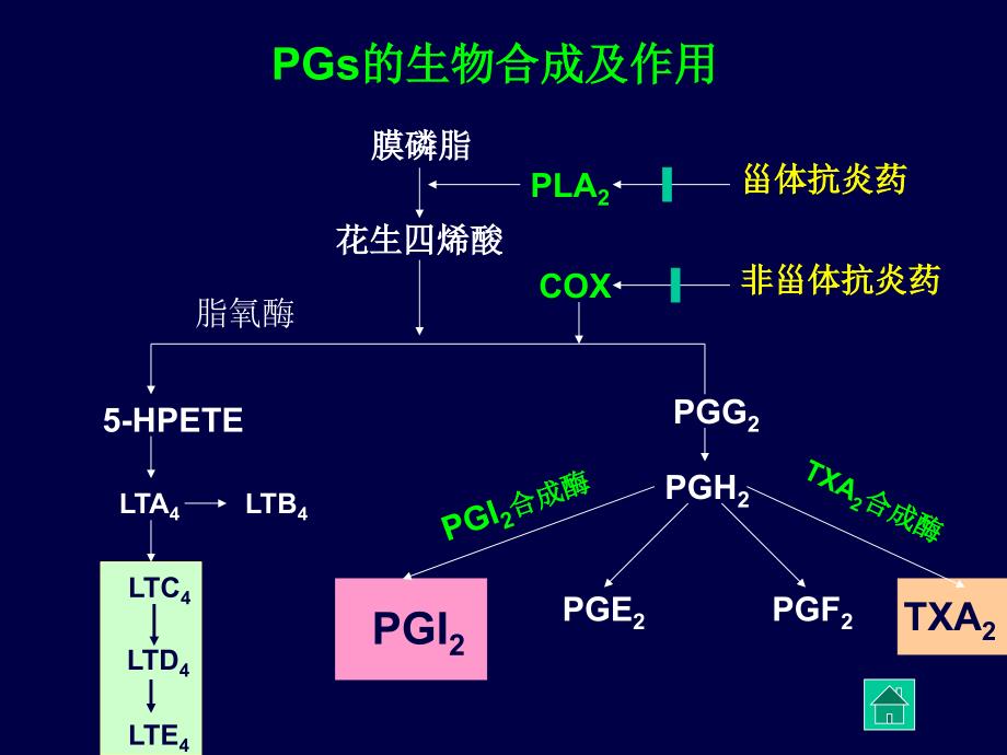 药理学解热镇痛抗炎.ppt_第3页