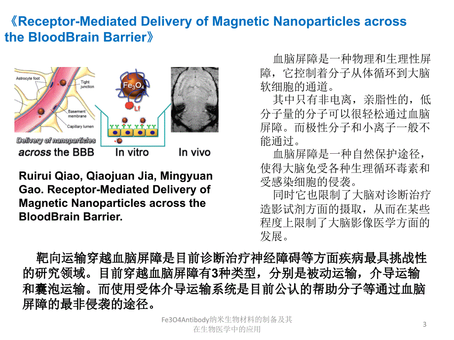 Fe3O4Antibody纳米生物材料的制备及其在生物医学中的应用课件_第3页