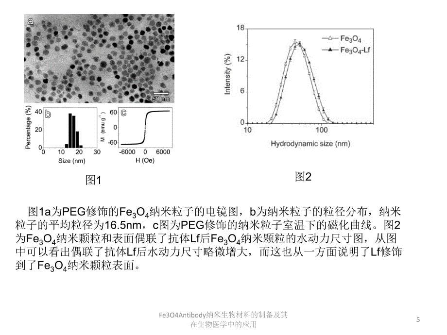 Fe3O4Antibody纳米生物材料的制备及其在生物医学中的应用课件_第5页