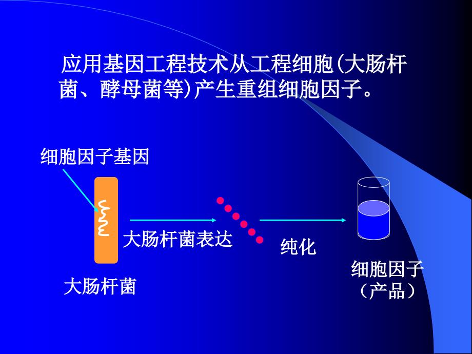 第4章细胞因子_第4页