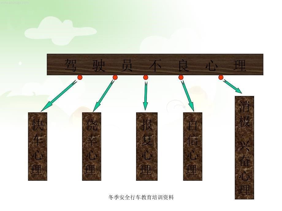 冬季安全行车教育培训资料_第5页