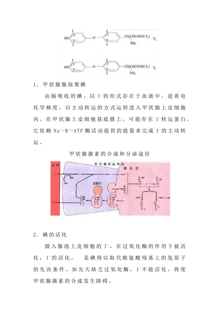 甲状腺激素相关问题释疑.docx_第2页