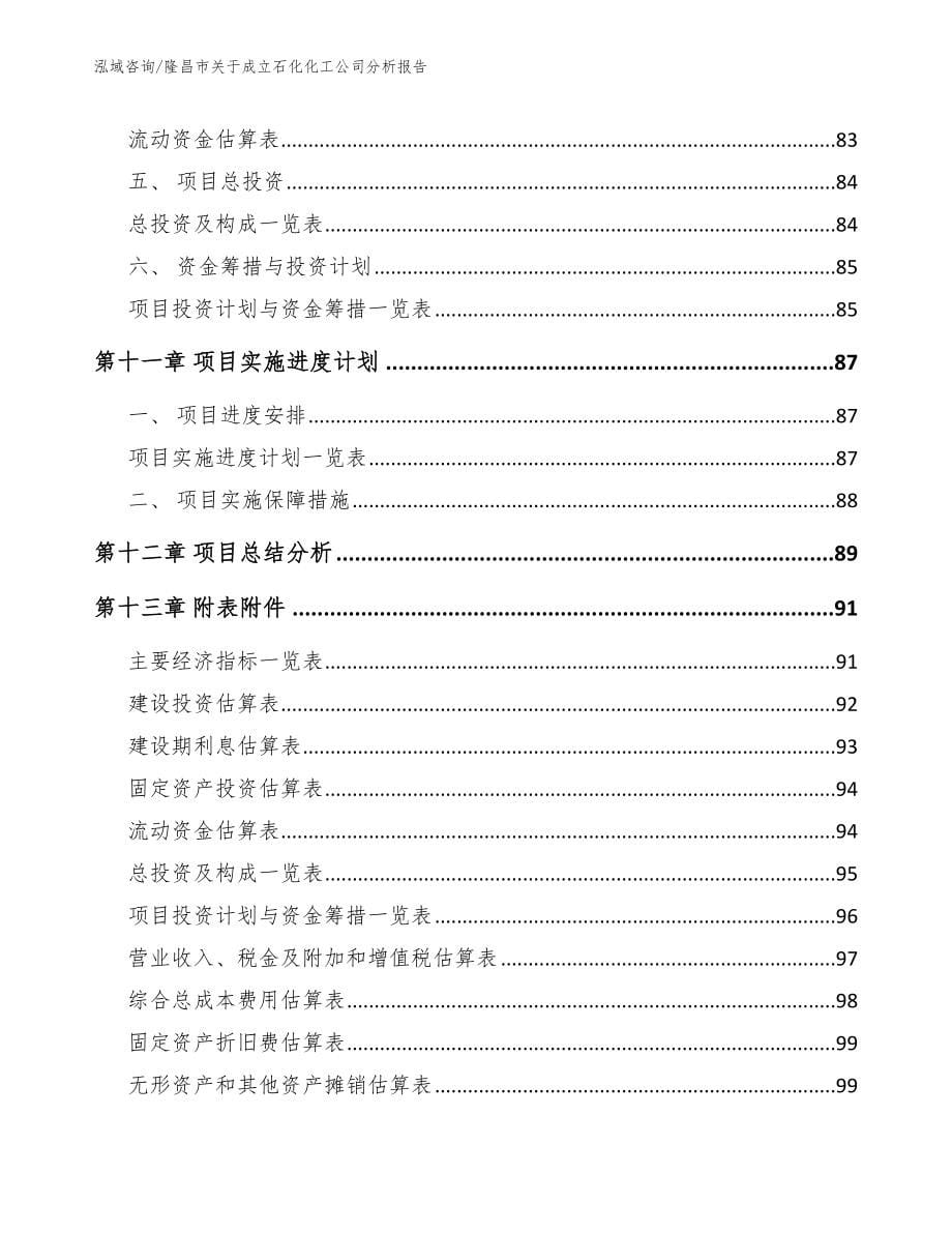 隆昌市关于成立石化化工公司分析报告_第5页