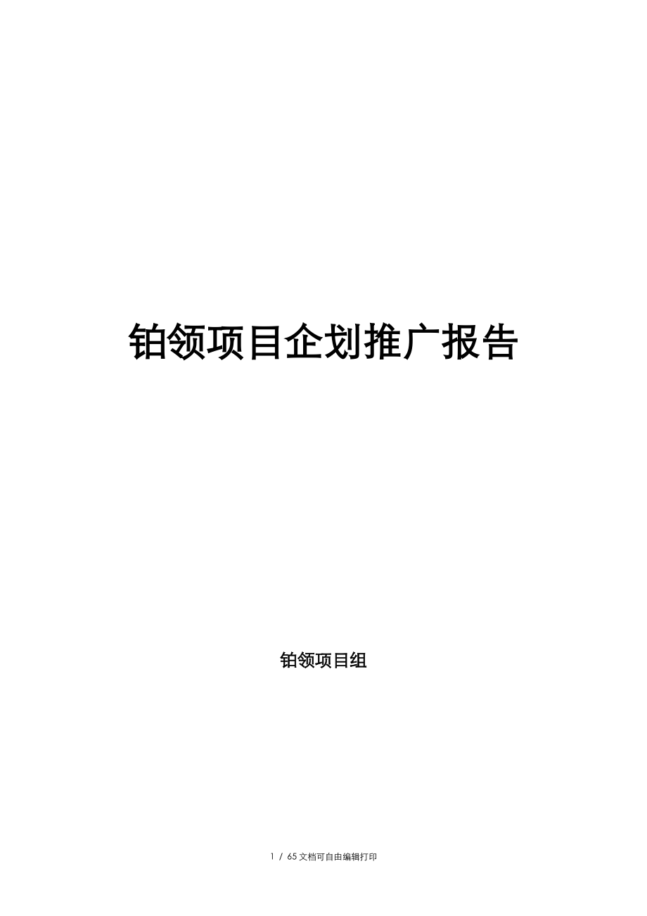 优派克思南京铂领项目企划推广报告_第1页