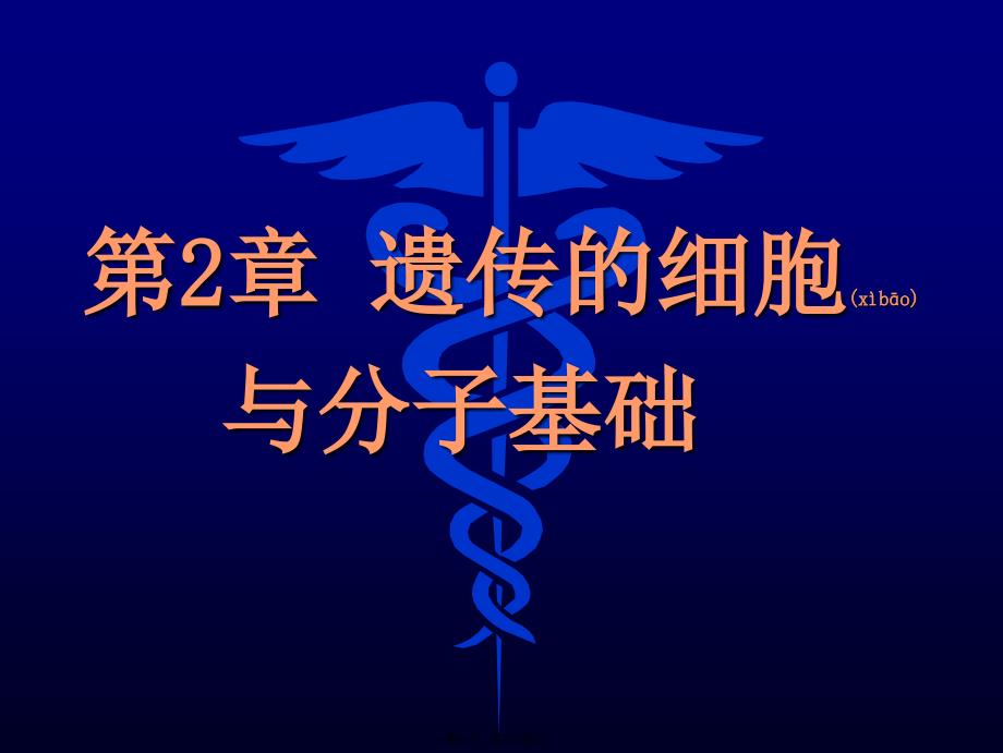 遗传的细胞与分子基础正课件_第1页