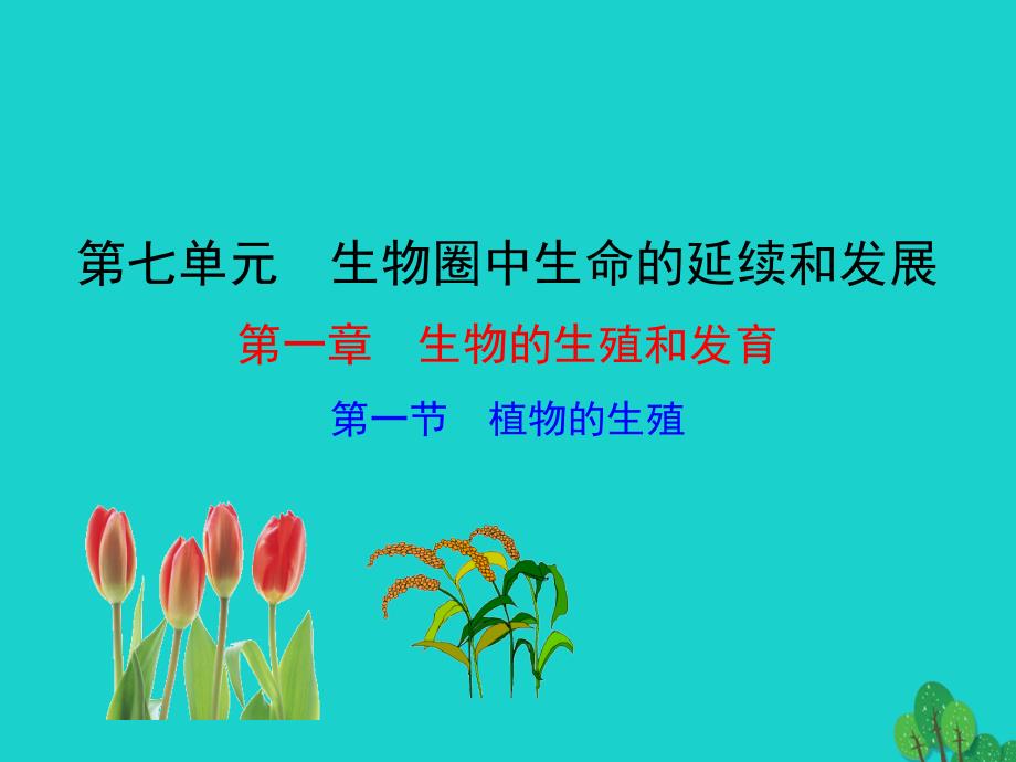 八年级生物下册7.1.1植物的生殖课件八年级生物下册7.1.1植物的生殖课件素材新版新人教版八年级生物下册7.1.1植物的生殖课件素材新版新人教版_第1页