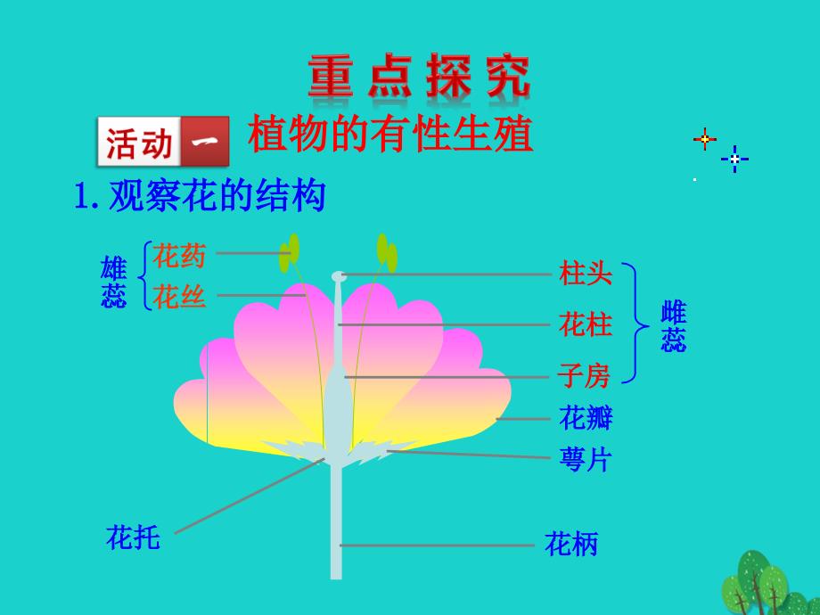 八年级生物下册7.1.1植物的生殖课件八年级生物下册7.1.1植物的生殖课件素材新版新人教版八年级生物下册7.1.1植物的生殖课件素材新版新人教版_第4页