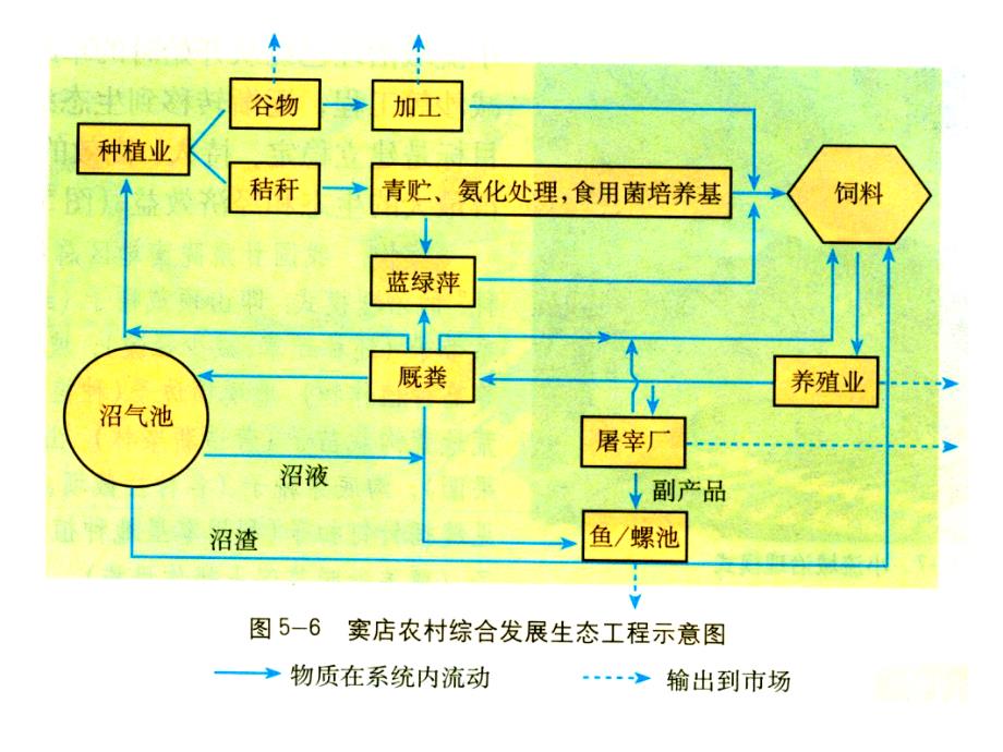 5.2 生态工程的实例和发展前景_第4页