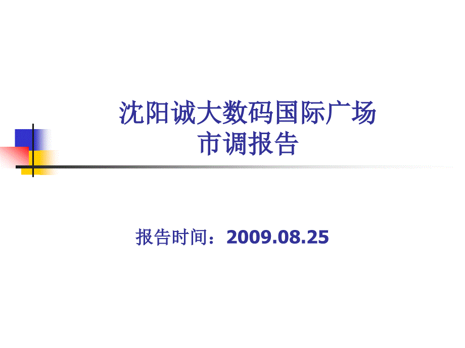 沈阳诚大数码国际广场调研报告(38页_第1页