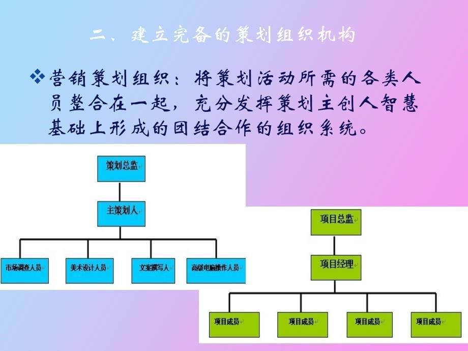 营销策划的组织与管理_第5页