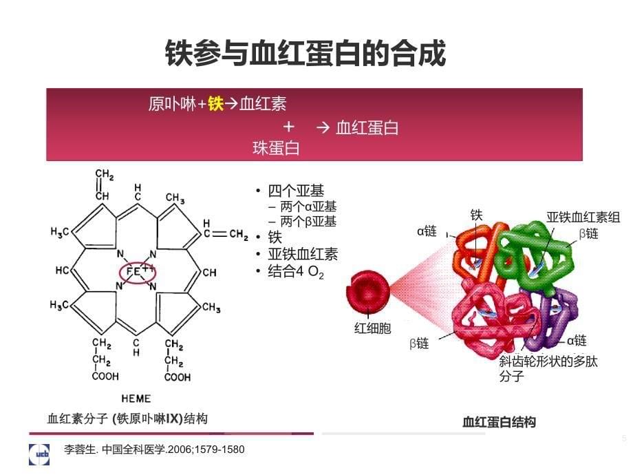 铁代谢的基础与临床OPTppt课件_第5页