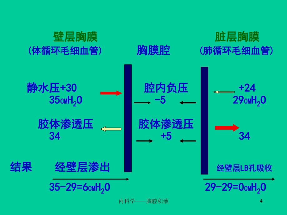 内科学胸腔积液课件_第4页