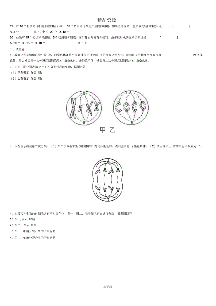 减数分裂和有丝分裂综合练习题_第2页
