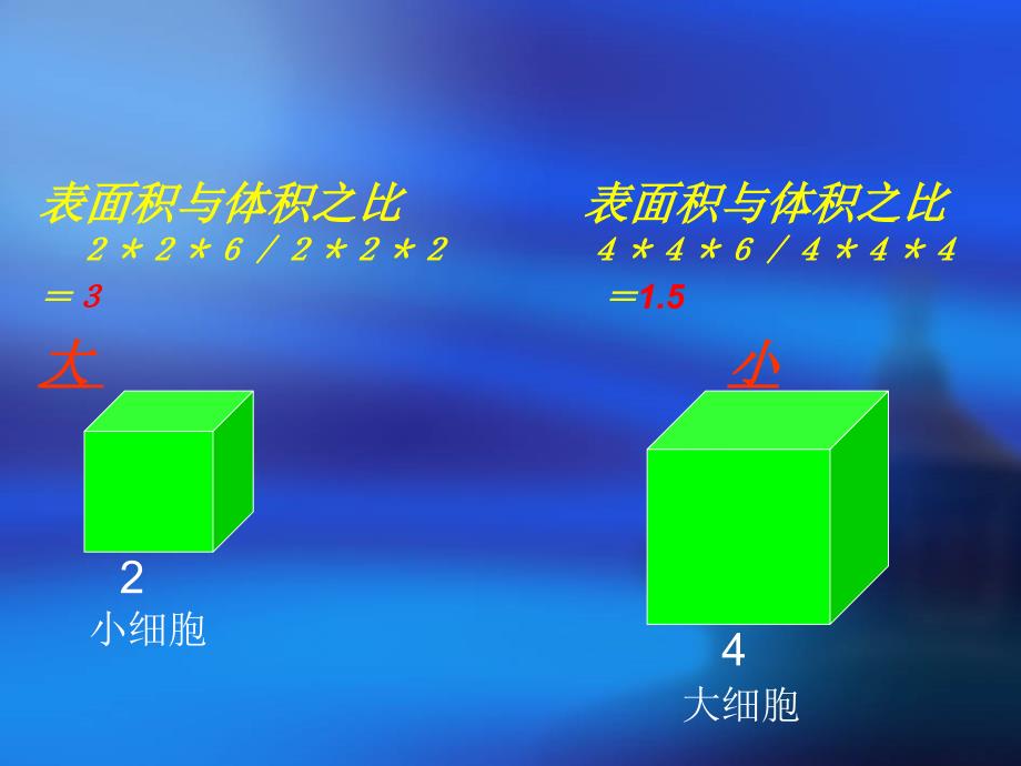 第三节细胞通过产生新细胞_第3页