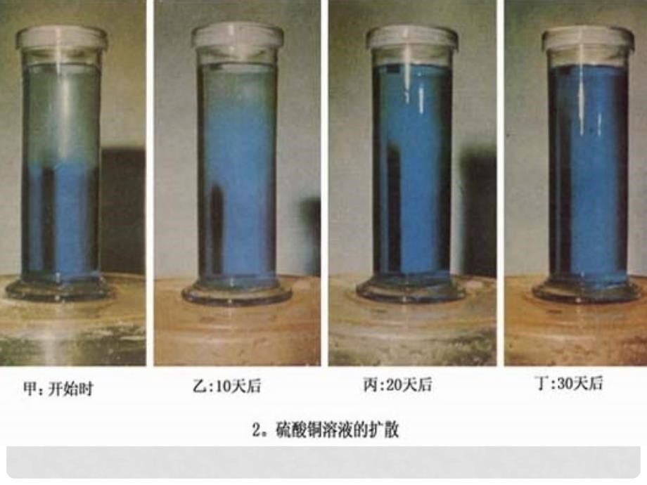 河北省保定市二中分校东校区九年级物理上册 1.1 分子动理论课件 教科版_第5页