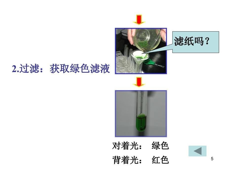 捕获光能的色素56029_第5页