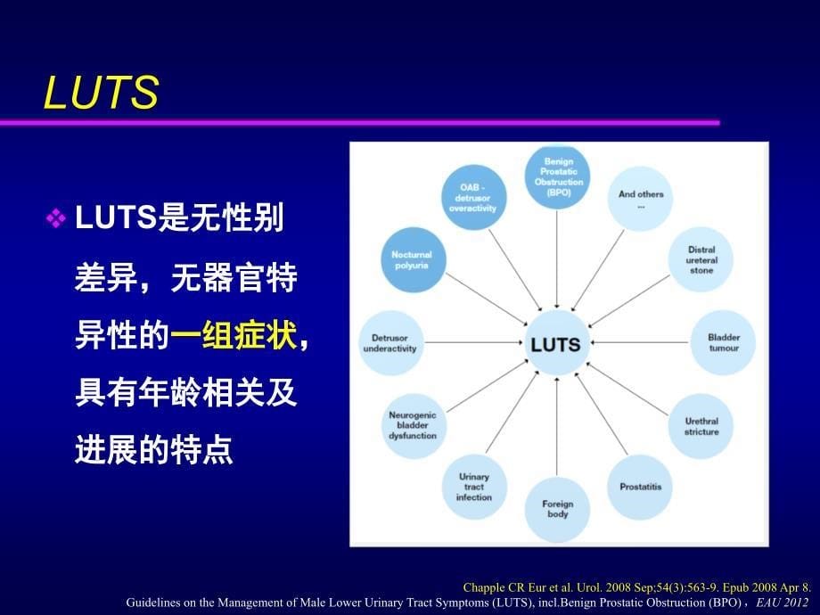 bph对症与对因的治疗ppt课件_第5页