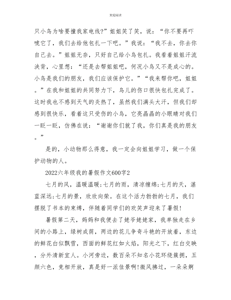 2022六年级我的暑假作文600字_第2页