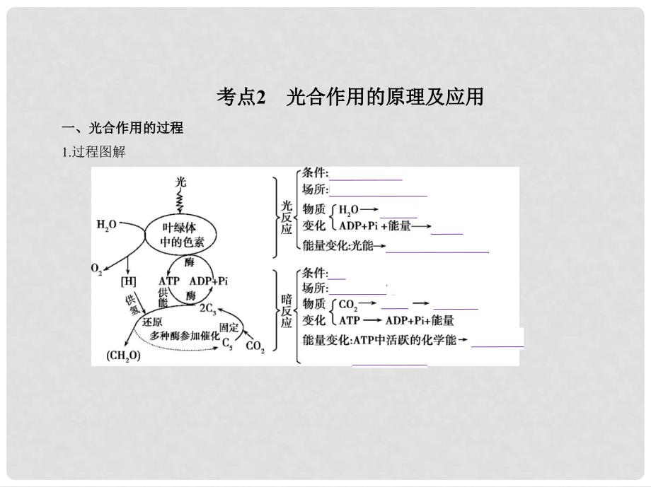 高考生物冲刺复习 专题6 光合作用课件_第4页