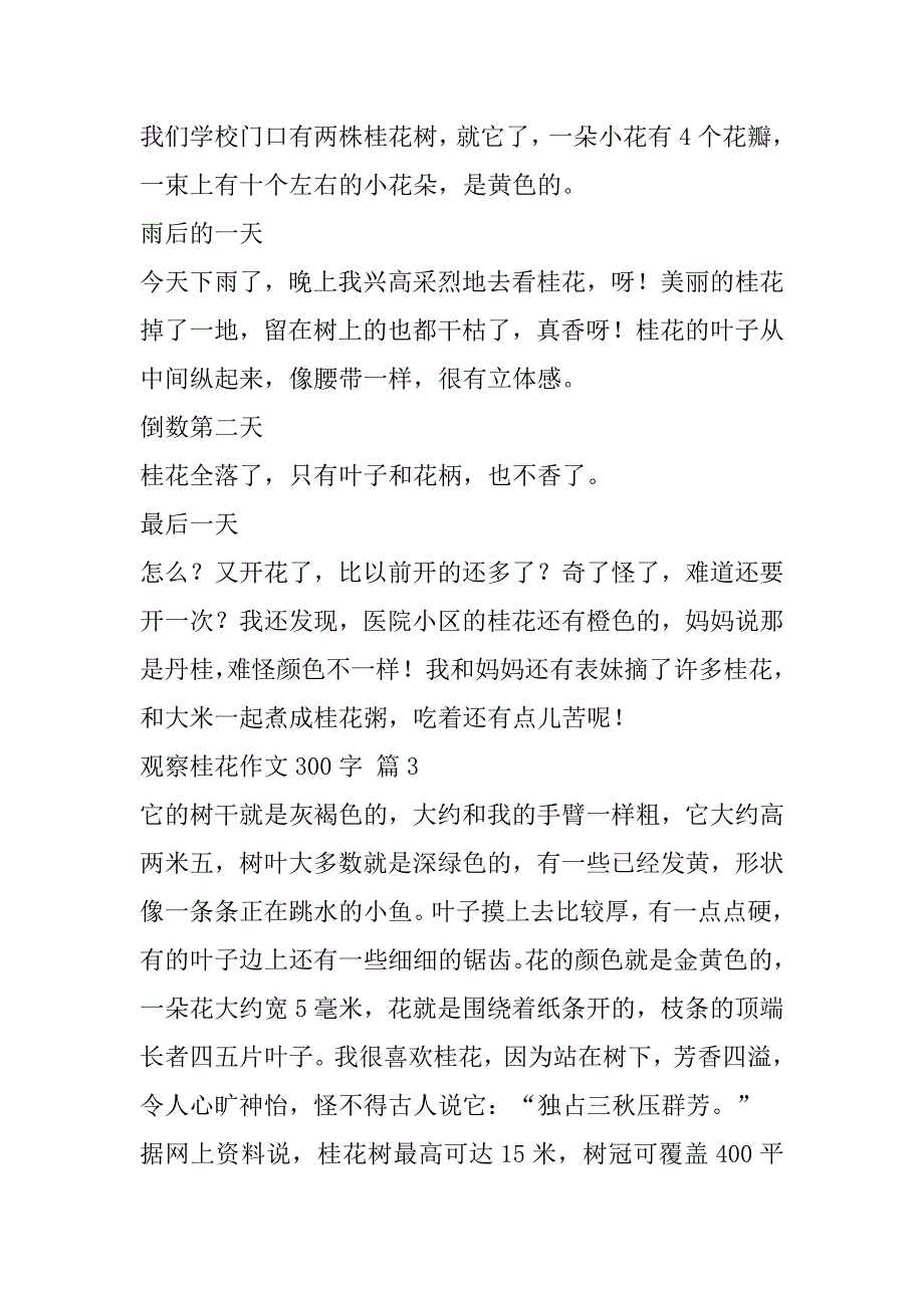 观察桂花作文300字集合八篇_第2页